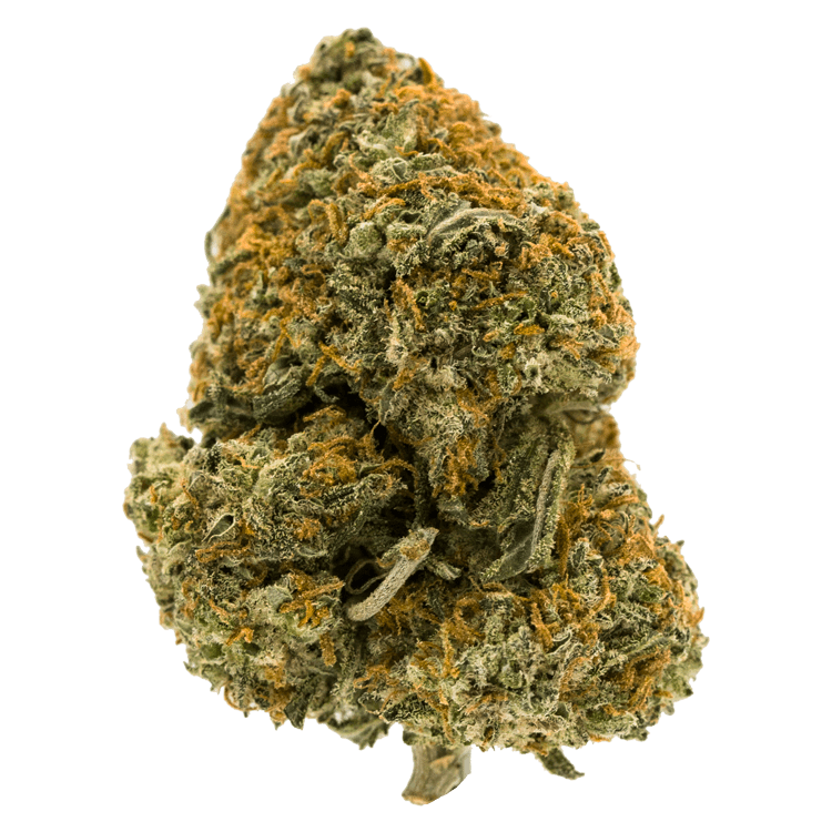 Blackberry Kush – (Popcorn) | BC Weed Edible Canada Blackberry Kush – (Popcorn) | BC Weed Edible Canada