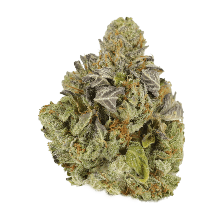 Jet Fuel | BC Weed Edible Canada Jet Fuel | BC Weed Edible Canada