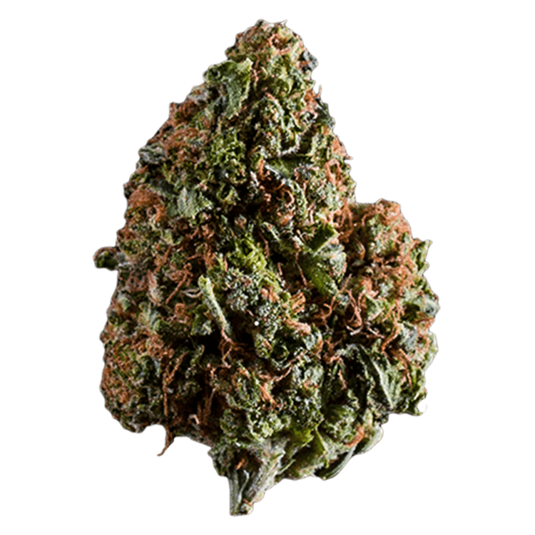 Lindsay OG – 1 ounce | BC Weed Edible Canada Lindsay OG – 1 ounce | BC Weed Edible Canada