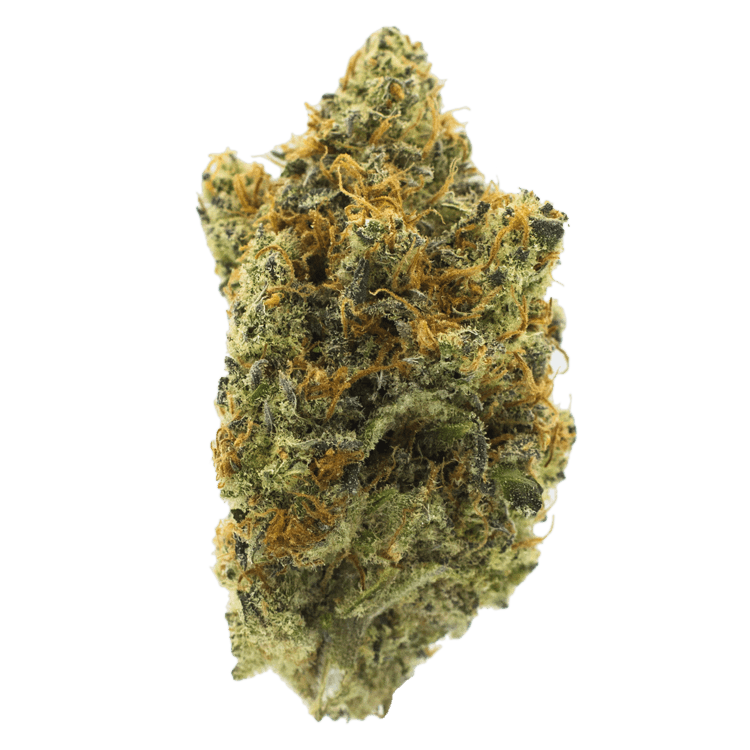 Peyote Cookies | BC Weed Edible Canada Peyote Cookies | BC Weed Edible Canada