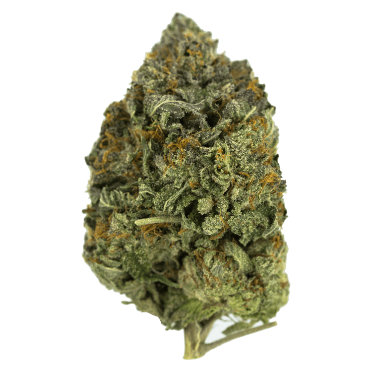 Dancehall | BC Weed Edible Canada Dancehall | BC Weed Edible Canada