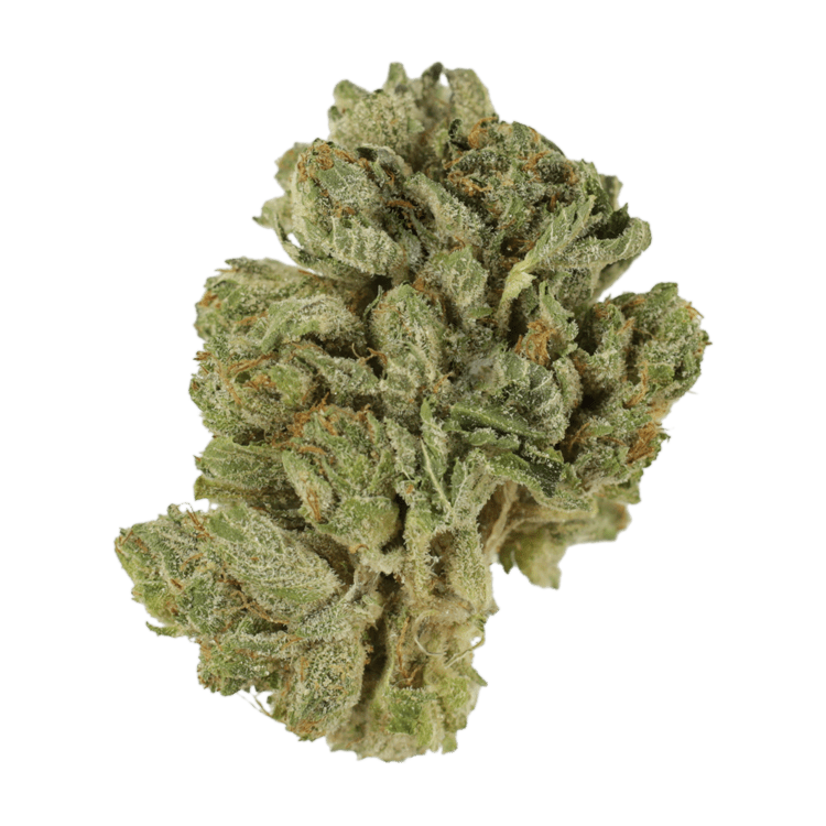 Northern Lights 2 for $69 | BC Weed Edible Canada Northern Lights 2 for $69 | BC Weed Edible Canada