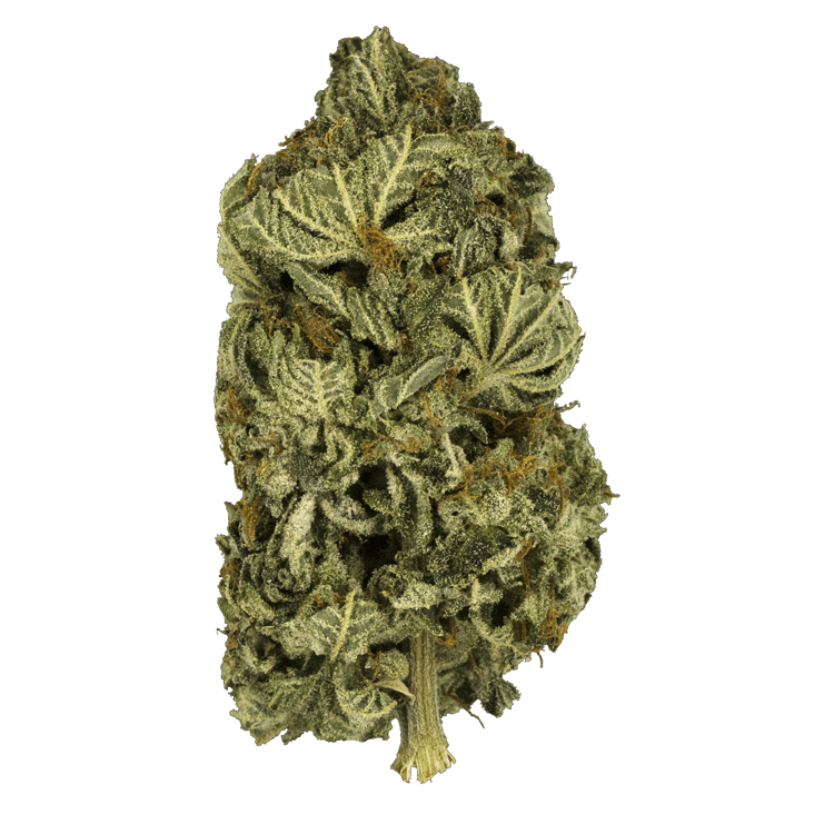 Black Gas – 1 ounce | BC Weed Edible Canada Black Gas – 1 ounce | BC Weed Edible Canada