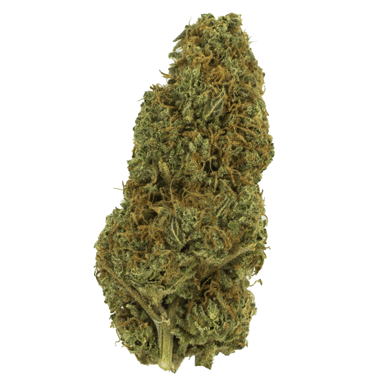 Lemon Cake – 1 ounce | BC Weed Edible Canada Lemon Cake – 1 ounce | BC Weed Edible Canada