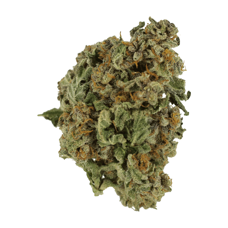 G Code | BC Weed Edible Canada G Code | BC Weed Edible Canada