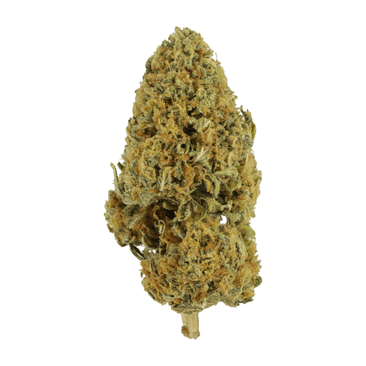 Grapefruit – 1 ounce | BC Weed Edible Canada Grapefruit – 1 ounce | BC Weed Edible Canada