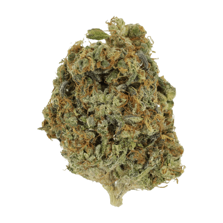 Sunset Sherbert | BC Weed Edible Canada Sunset Sherbert | BC Weed Edible Canada