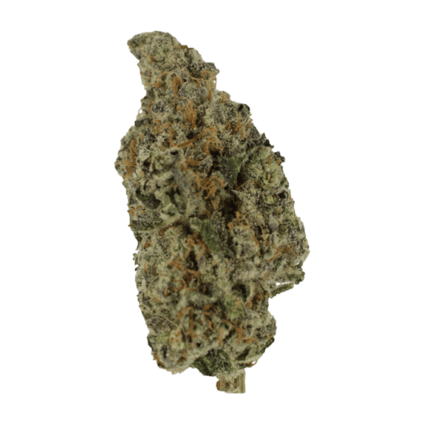 Biscotti Sundae | BC Weed Edible Canada Biscotti Sundae | BC Weed Edible Canada