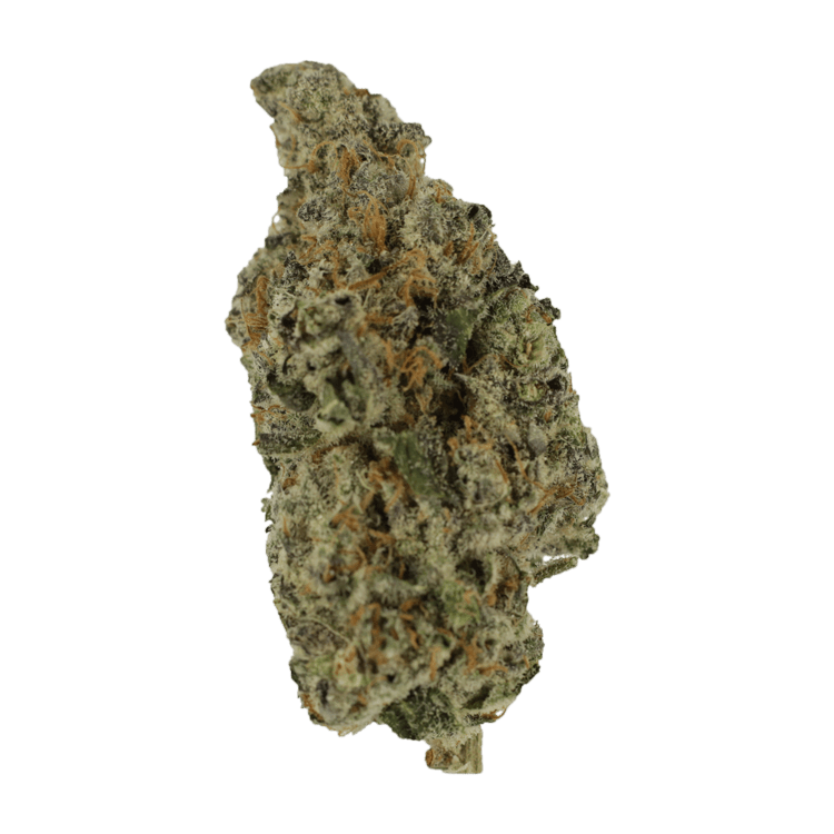 Biscotti Sundae | BC Weed Edible Canada Biscotti Sundae | BC Weed Edible Canada