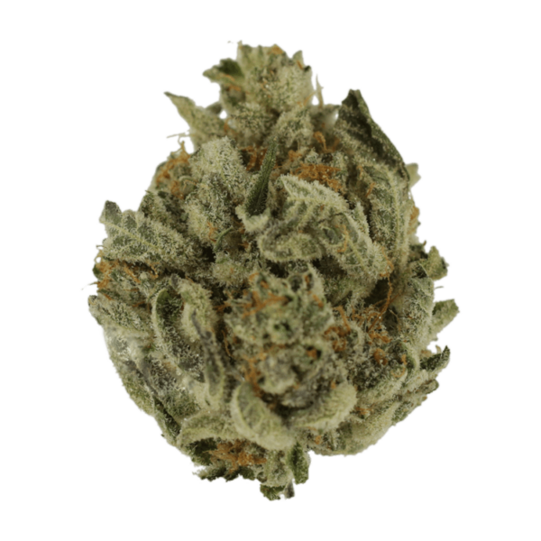 Biscotti Sundae | BC Weed Edible Canada