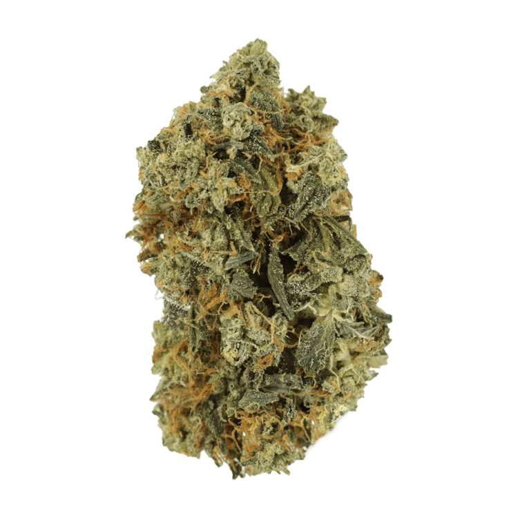 Blackwater | BC Weed Edible Canada Blackwater | BC Weed Edible Canada