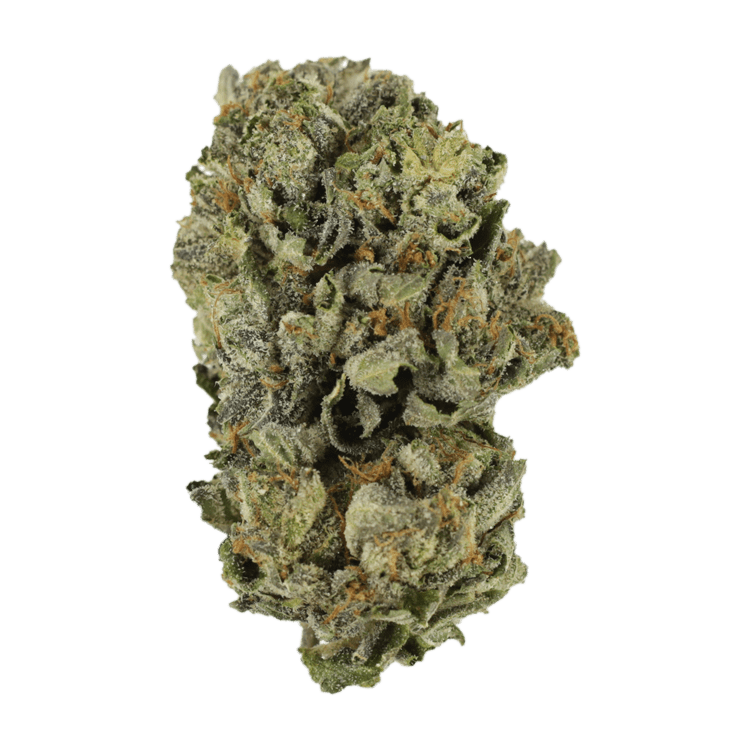 Cerebro Haze | BC Weed Edible Canada Cerebro Haze | BC Weed Edible Canada