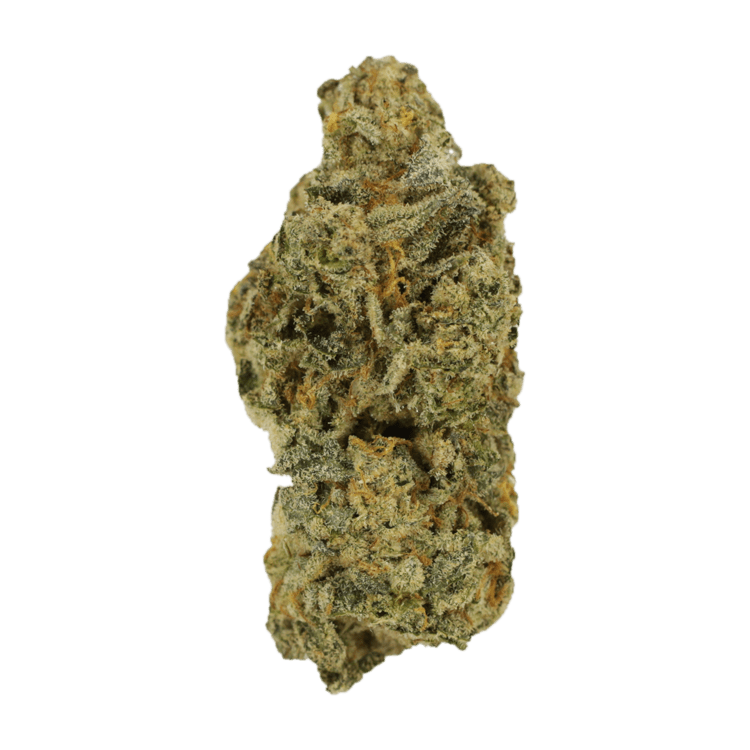 Cinderella 99 | BC Weed Edible Canada Cinderella 99 | BC Weed Edible Canada