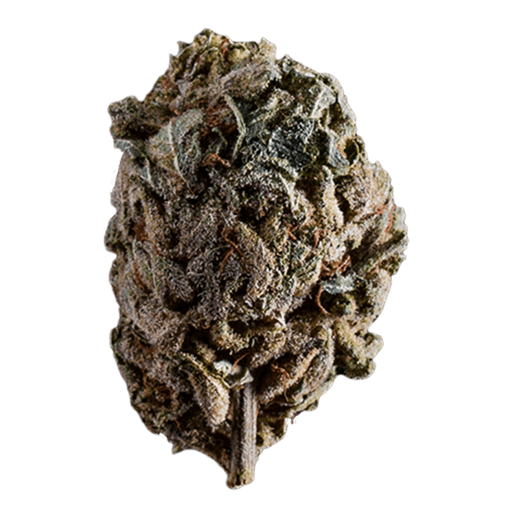 Emergen C | BC Weed Edible Canada Emergen C | BC Weed Edible Canada