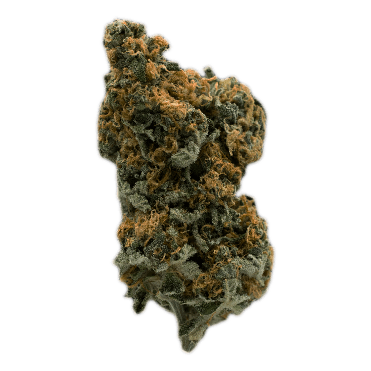 Lemon Margy | BC Weed Edible Canada Lemon Margy | BC Weed Edible Canada